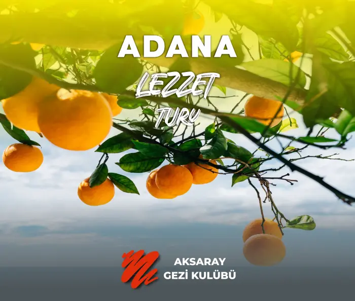 aksaray gezi kulübü adana turu görseli